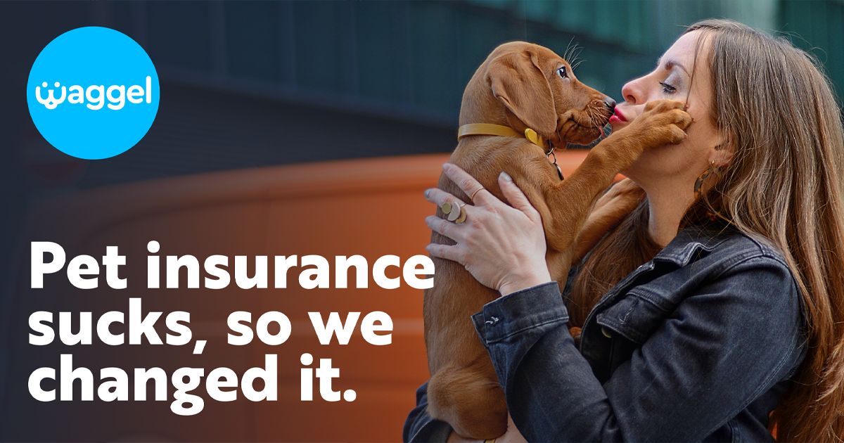 Dog Insurance With Pre Existing Conditions