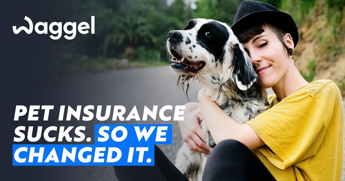 Waggel - Pet insurance that doesn't suck