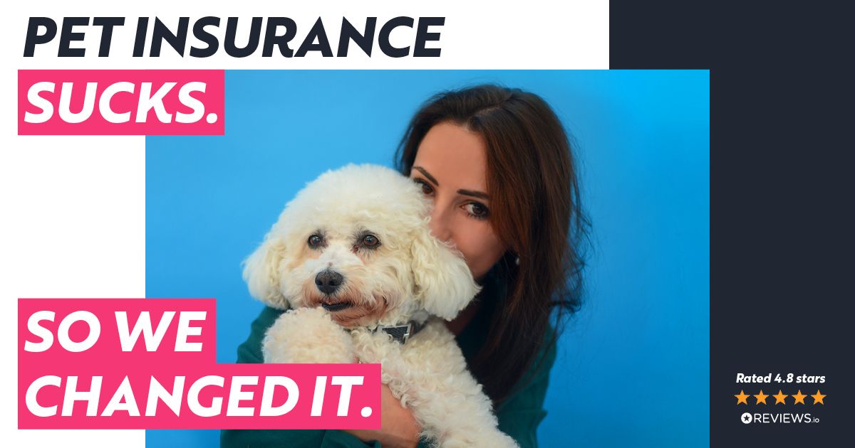 Waggel Blog - Comparing best pet insurance: Why Waggel is ...